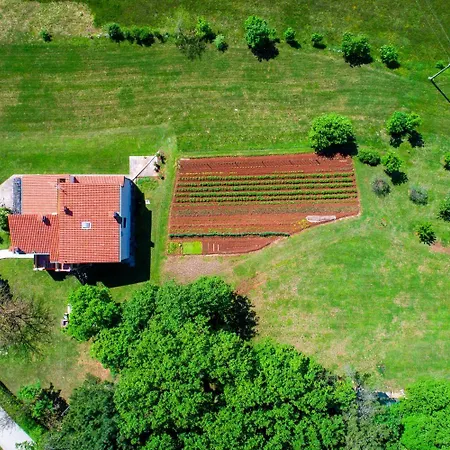 Bruno アパート *